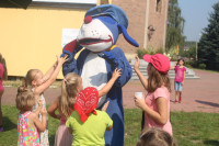 powiększ zdjęcie 