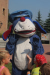 powiększ zdjęcie 