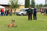 powiększ zdjęcie