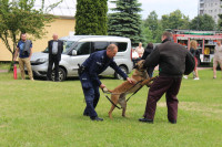 powiększ zdjęcie