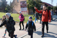 powiększ zdjęcie 