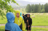 powiększ zdjęcie 