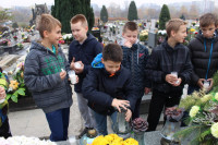 powiększ zdjęcie 