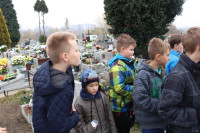 powiększ zdjęcie 