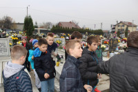 powiększ zdjęcie 