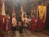 powiększ zdjęcie 