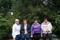 powiększ zdjęcie 