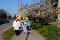powiększ zdjęcie 