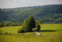 powiększ zdjęcie 