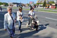 powiększ zdjęcie 