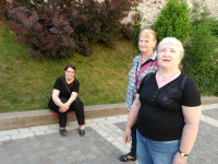 powiększ zdjęcie 