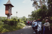powiększ zdjęcie 
