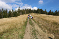 powiększ zdjęcie 