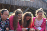 powiększ zdjęcie 