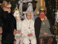 powiększ zdjęcie 