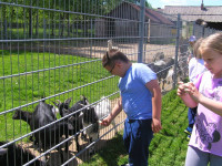 powiększ zdjęcie