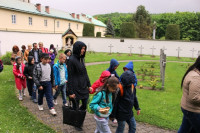 powiększ zdjęcie
