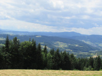powiększ zdjęcie 