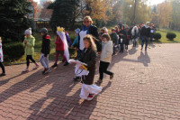 powiększ zdjęcie 