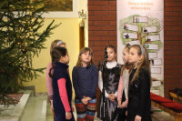 powiększ zdjęcie 