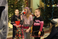 powiększ zdjęcie 