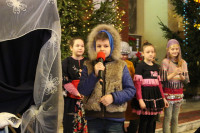 powiększ zdjęcie 
