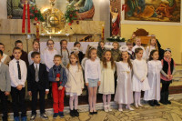 powiększ zdjęcie 