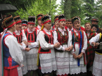 powiększ zdjęcie 