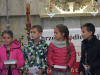 powiększ zdjęcie 