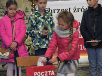 powiększ zdjęcie 