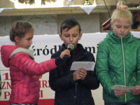 powiększ zdjęcie 