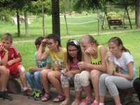powiększ zdjęcie 
