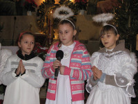 powiększ zdjęcie