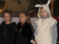 powiększ zdjęcie