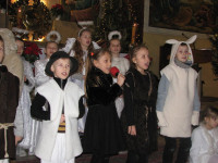 powiększ zdjęcie