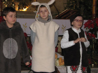 powiększ zdjęcie