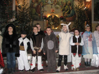 powiększ zdjęcie