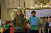 powiększ zdjęcie