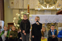 powiększ zdjęcie