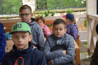 powiększ zdjęcie 