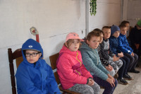 powiększ zdjęcie 