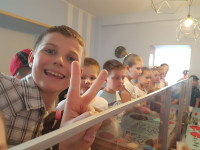 powiększ zdjęcie 