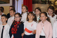 powiększ zdjęcie 