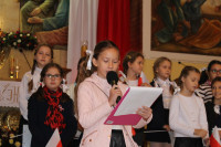 powiększ zdjęcie 