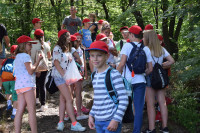 powiększ zdjęcie 