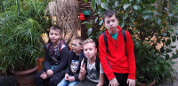 powiększ zdjęcie 