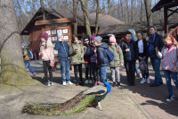 powiększ zdjęcie 
