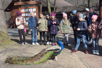 powiększ zdjęcie 