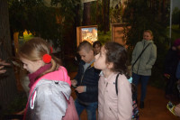 powiększ zdjęcie 