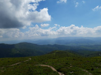 powiększ zdjęcie